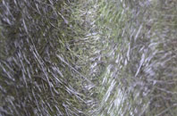 Turnworth fibreglass roof work