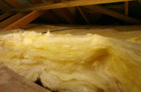 Turnworth pitch roof insulation